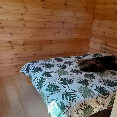 Fluffy Horns - Kempings Pukainie Ragi Holiday home *