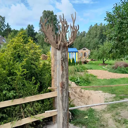 Fluffy Horns - Kempings Pukainie Ragi *